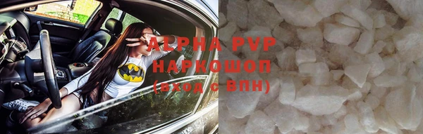 индика Баксан