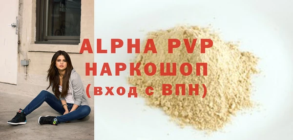 индика Баксан