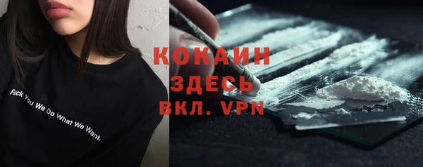 индика Баксан