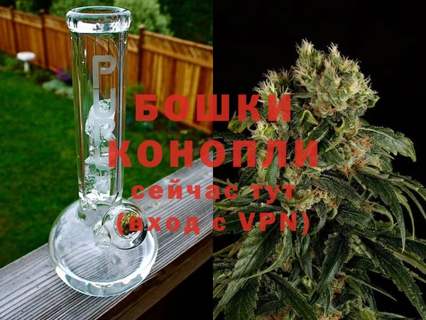 индика Баксан