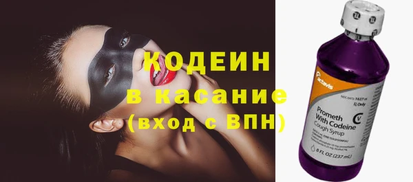 индика Баксан