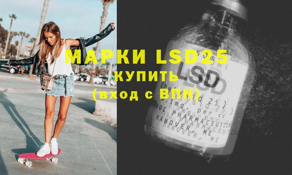индика Баксан