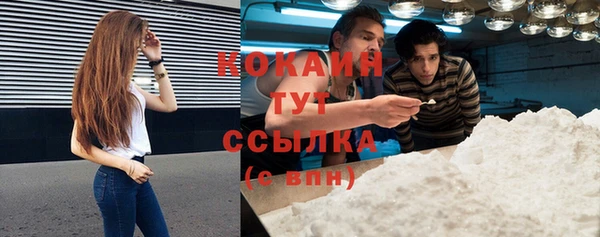 индика Баксан