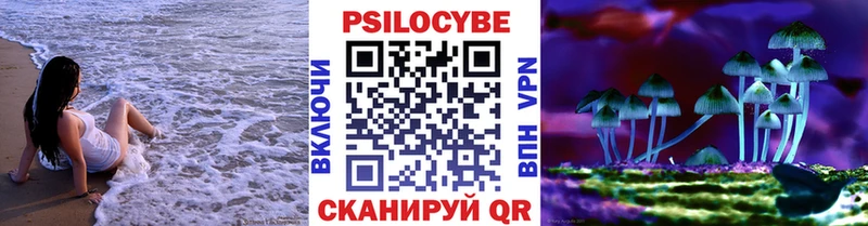Псилоцибиновые грибы Cubensis  blacksprut tor  Себеж 